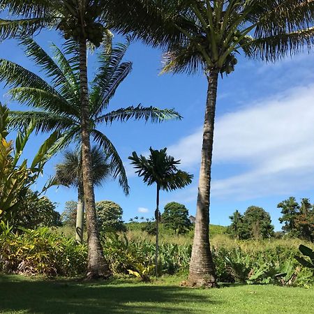 Island Goode'S - Luxury Adult Only Accommodation Near Hilo Papaikou Exterior photo