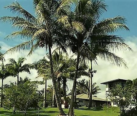 Island Goode'S - Luxury Adult Only Accommodation Near Hilo Papaikou Exterior photo