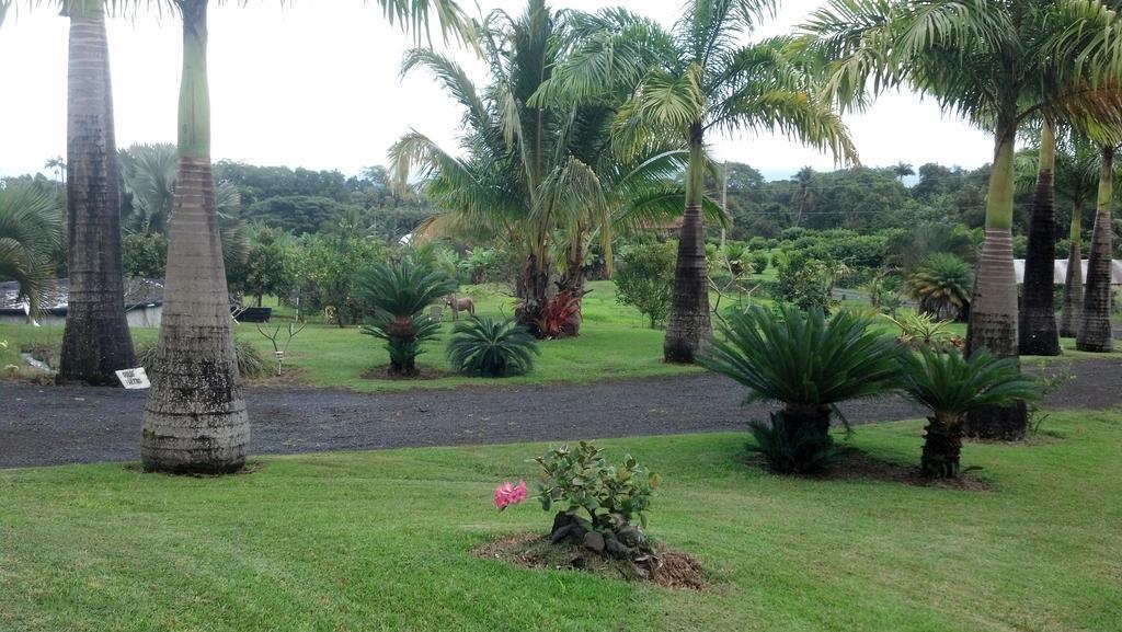 Island Goode'S - Luxury Adult Only Accommodation Near Hilo Papaikou Exterior photo