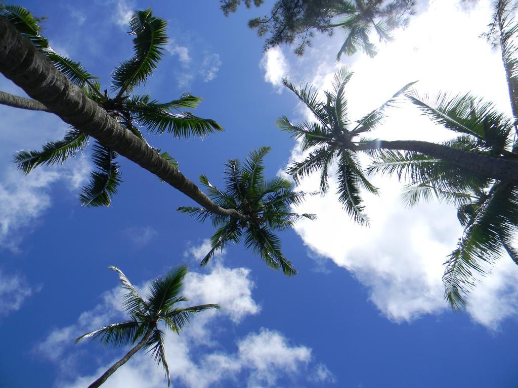 Island Goode'S - Luxury Adult Only Accommodation Near Hilo Papaikou Exterior photo