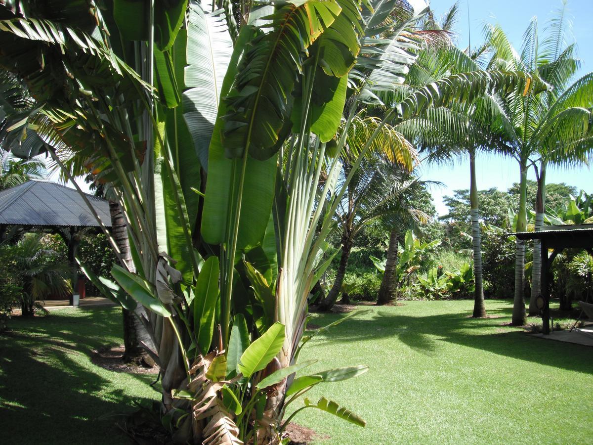 Island Goode'S - Luxury Adult Only Accommodation Near Hilo Papaikou Exterior photo