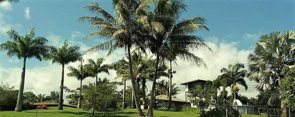 Island Goode'S - Luxury Adult Only Accommodation Near Hilo Papaikou Exterior photo
